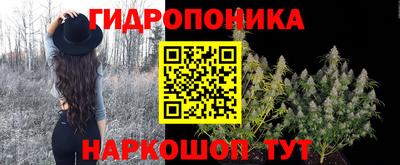 трава Лесосибирск