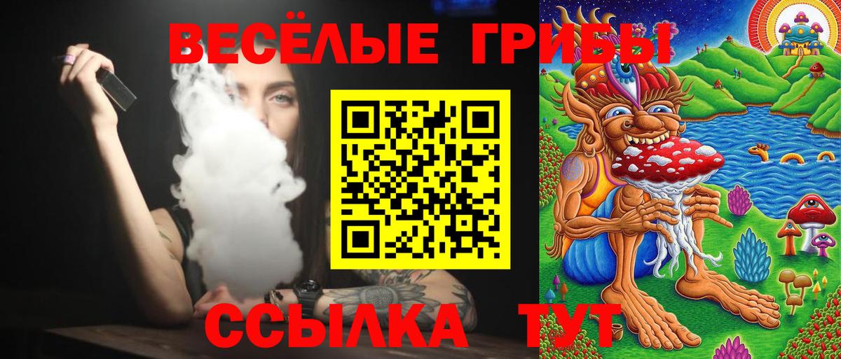 Галлюциногенные грибы GOLDEN TEACHER  Вход с VPN  наркота  Долгопрудный 