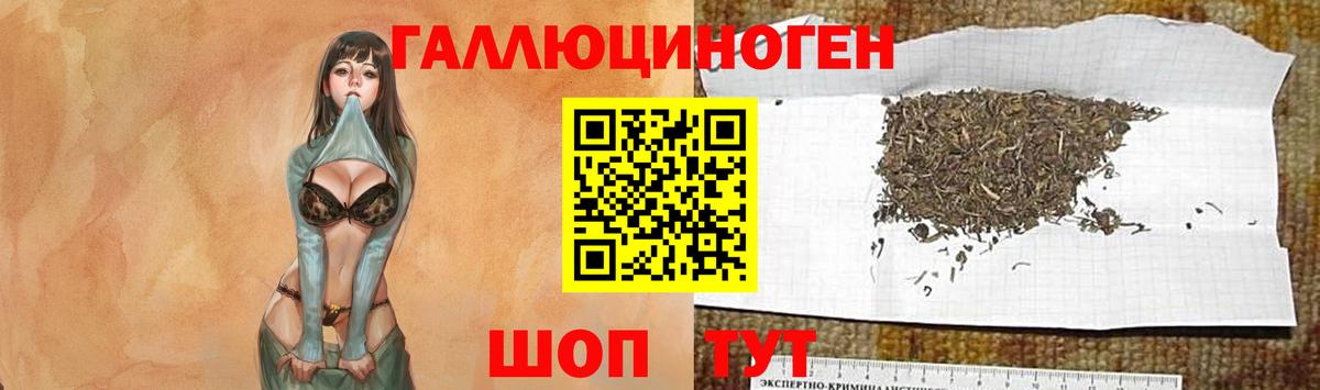 Псилоцибиновые грибы мицелий Долгопрудный